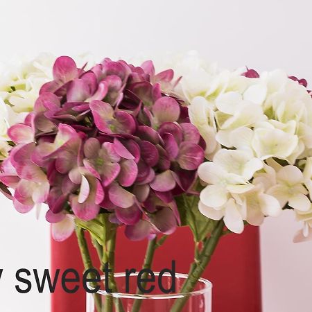 My Sweet Red Apartment 貝尼多姆 外观 照片