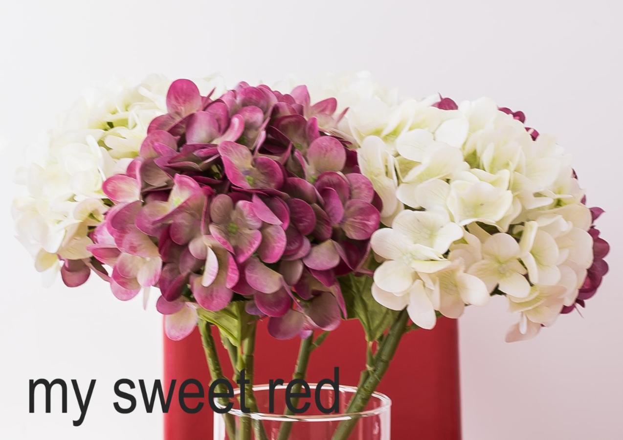 My Sweet Red Apartment 貝尼多姆 外观 照片